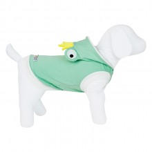 regata para pet